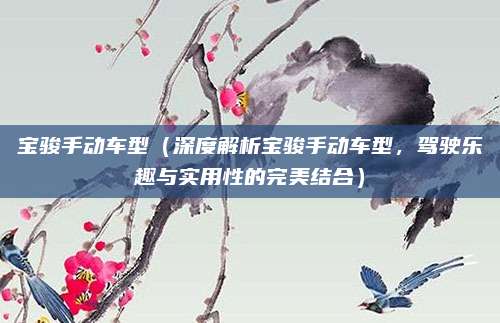 宝骏手动车型（深度解析宝骏手动车型，驾驶乐趣与实用性的完美结合）