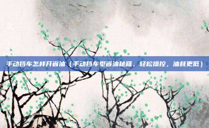 手动挡车怎样开省油（手动挡车型省油秘籍，轻松操控，油耗更低）