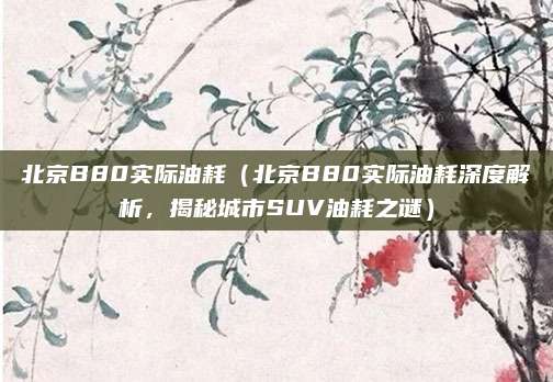 北京B80实际油耗（北京B80实际油耗深度解析，揭秘城市SUV油耗之谜）