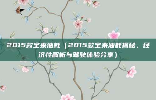 2015款宝来油耗（2015款宝来油耗揭秘，经济性解析与驾驶体验分享）