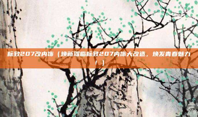 标致207改内饰（焕新驾临标致207内饰大改造，焕发青春魅力！）