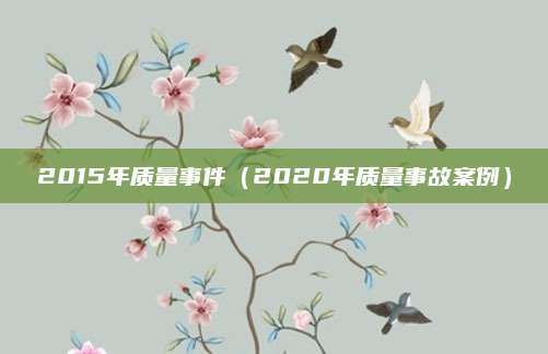 2015年质量事件(2020年质量事故案例)