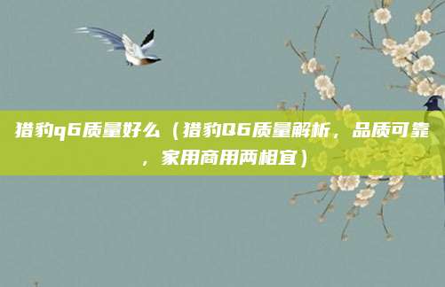 猎豹q6质量好么（猎豹Q6质量解析，品质可靠，家用商用两相宜）