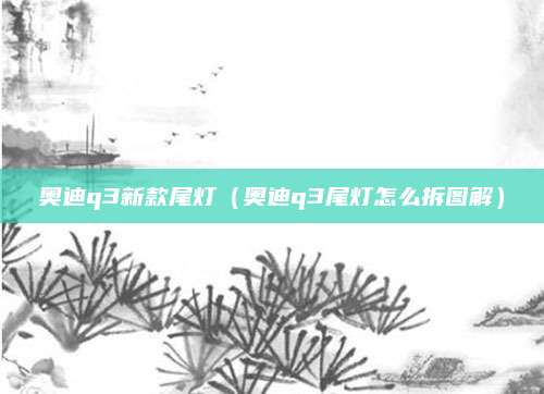 奥迪q3新款尾灯(奥迪q3尾灯怎么拆图解)