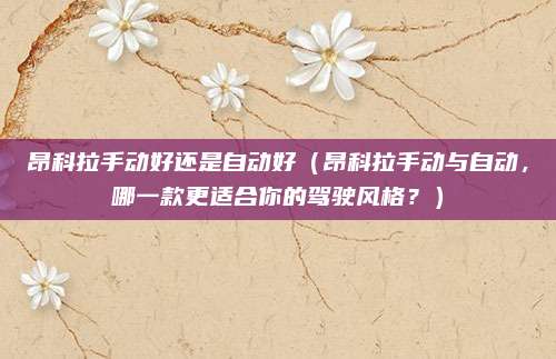 昂科拉手动好还是自动好（昂科拉手动与自动，哪一款更适合你的驾驶风格？）