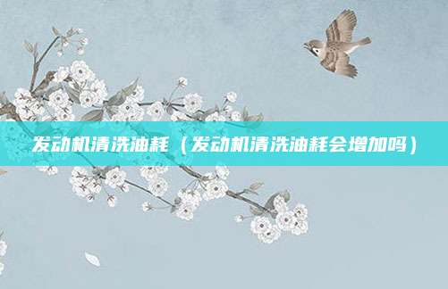 发动机清洗油耗(发动机清洗油耗会增加吗)