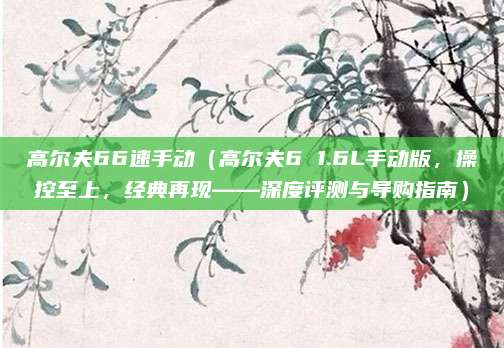 高尔夫66速手动（高尔夫6 1.6L手动版，操控至上，经典再现——深度评测与导购指南）