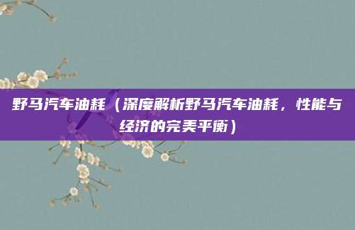 野马汽车油耗（深度解析野马汽车油耗，性能与经济的完美平衡）