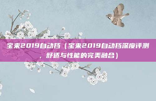 宝来2019自动挡（宝来2019自动挡深度评测，舒适与性能的完美融合）