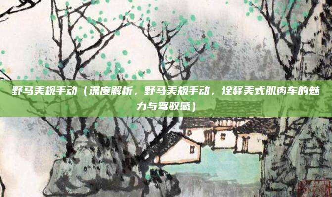 野马美规手动（深度解析，野马美规手动，诠释美式肌肉车的魅力与驾驭感）