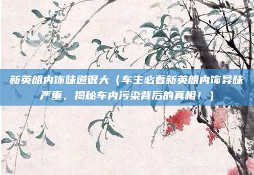 新英朗内饰味道很大（车主必看新英朗内饰异味严重，揭秘车内污染背后的真相！）