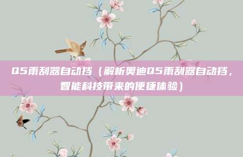 Q5雨刮器自动挡（解析奥迪Q5雨刮器自动挡，智能科技带来的便捷体验）
