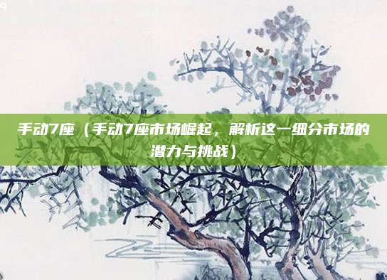 手动7座（手动7座市场崛起，解析这一细分市场的潜力与挑战）
