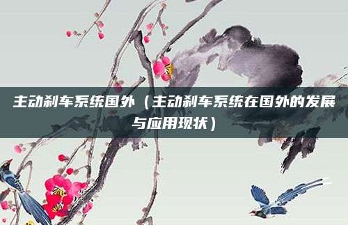 主动刹车系统国外（主动刹车系统在国外的发展与应用现状）