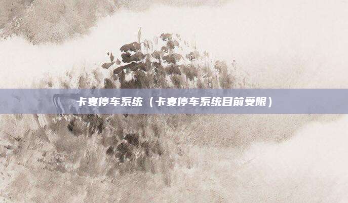 卡宴停车系统(卡宴停车系统目前受限)