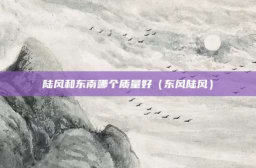 陆风和东南哪个质量好(东风陆风)