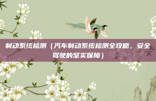 制动系统检测（汽车制动系统检测全攻略，安全驾驶的坚实保障）