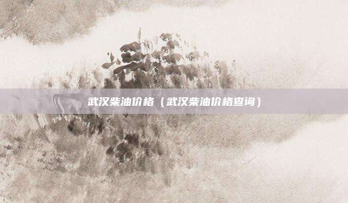 武汉柴油价格(武汉柴油价格查询)