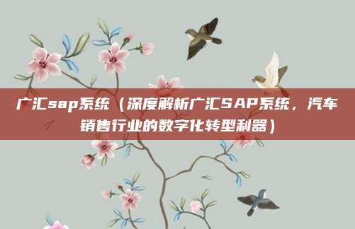 广汇sap系统（深度解析广汇SAP系统，汽车销售行业的数字化转型利器）