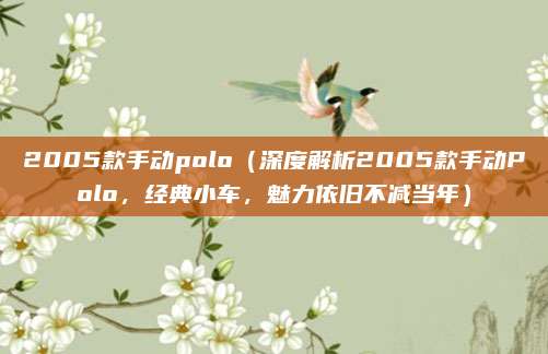 2005款手动polo（深度解析2005款手动Polo，经典小车，魅力依旧不减当年）