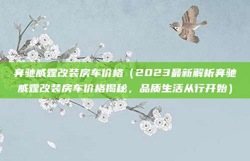 奔驰威霆改装房车价格（2023最新解析奔驰威霆改装房车价格揭秘，品质生活从行开始）