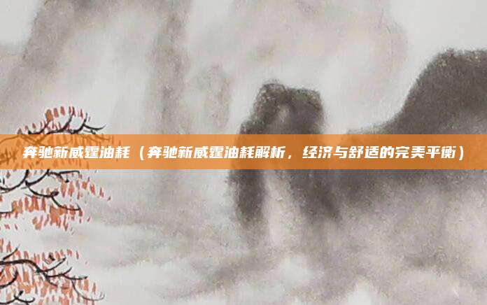 奔驰新威霆油耗（奔驰新威霆油耗解析，经济与舒适的完美平衡）