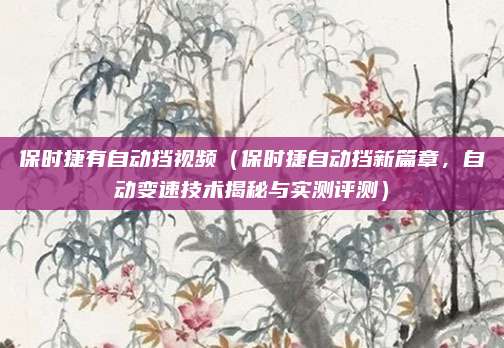 保时捷有自动挡视频（保时捷自动挡新篇章，自动变速技术揭秘与实测评测）