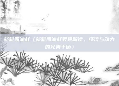 新雅阁油耗（新雅阁油耗表现解读，经济与动力的完美平衡）