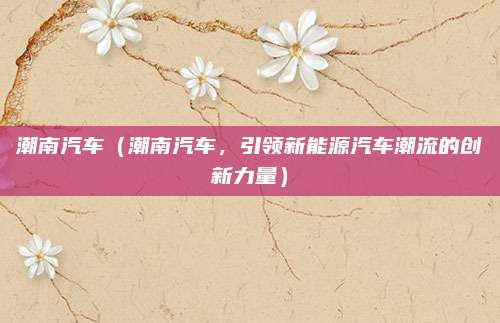 潮南汽车（潮南汽车，引领新能源汽车潮流的创新力量）
