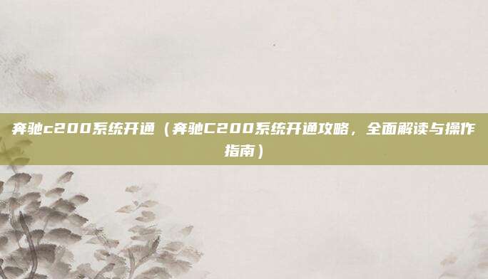 奔驰c200系统开通（奔驰C200系统开通攻略，全面解读与操作指南）