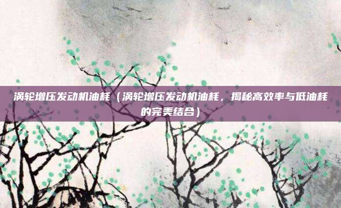 涡轮增压发动机油耗（涡轮增压发动机油耗，揭秘高效率与低油耗的完美结合）