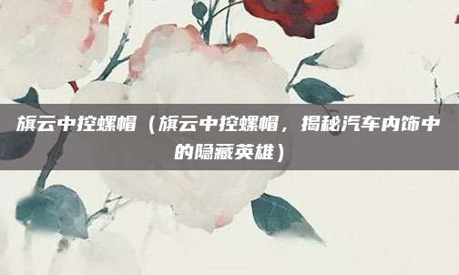 旗云中控螺帽（旗云中控螺帽，揭秘汽车内饰中的隐藏英雄）
