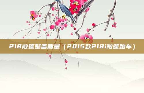 218敞篷整备质量(2015款218i敞篷跑车)