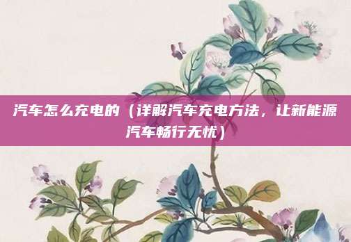 汽车怎么充电的（详解汽车充电方法，让新能源汽车畅行无忧）