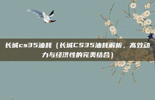 长城cs35油耗（长城CS35油耗解析，高效动力与经济性的完美结合）
