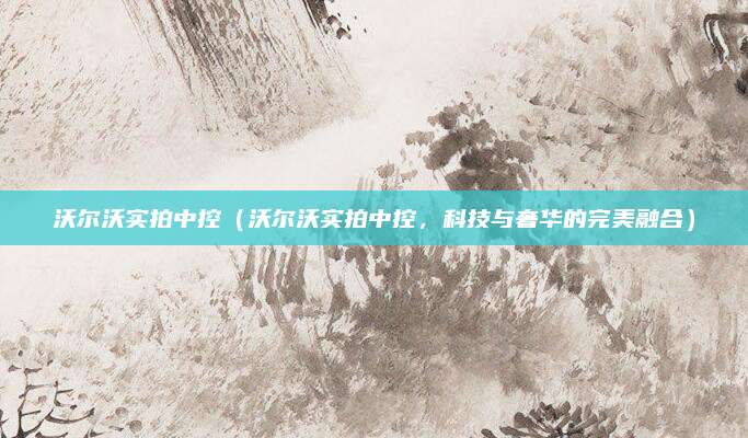 沃尔沃实拍中控（沃尔沃实拍中控，科技与奢华的完美融合）