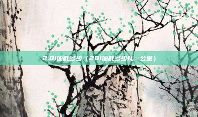 2.0l油耗多少(20l油耗多少钱一公里)