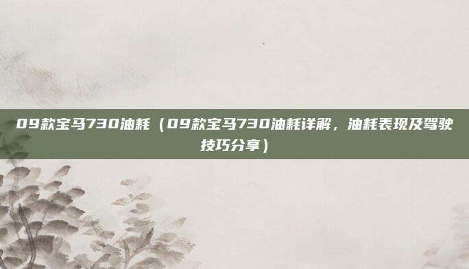 09款宝马730油耗（09款宝马730油耗详解，油耗表现及驾驶技巧分享）