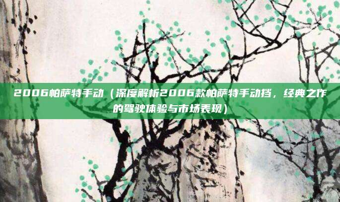 2006帕萨特手动（深度解析2006款帕萨特手动挡，经典之作的驾驶体验与市场表现）