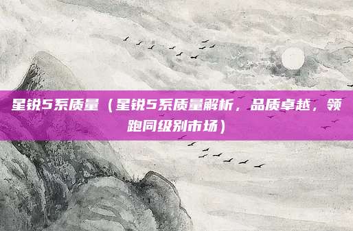 星锐5系质量（星锐5系质量解析，品质卓越，领跑同级别市场）