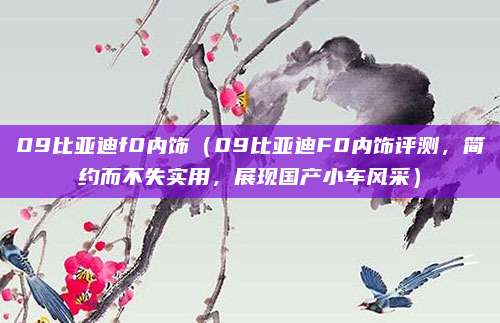 09比亚迪f0内饰（09比亚迪F0内饰评测，简约而不失实用，展现国产小车风采）
