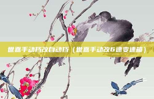 世嘉手动挡改自动挡(世嘉手动改6速变速箱)