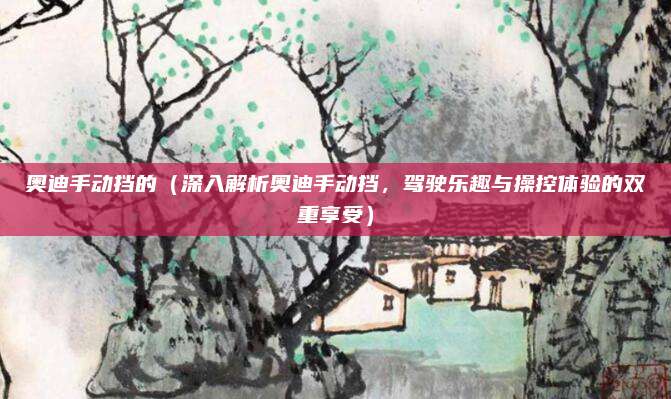 奥迪手动挡的（深入解析奥迪手动挡，驾驶乐趣与操控体验的双重享受）