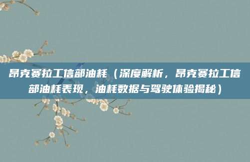 昂克赛拉工信部油耗（深度解析，昂克赛拉工信部油耗表现，油耗数据与驾驶体验揭秘）