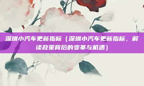 深圳小汽车更新指标（深圳小汽车更新指标，解读政策背后的变革与机遇）