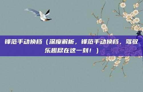锋范手动换档（深度解析，锋范手动换档，驾驭乐趣尽在这一刻！）
