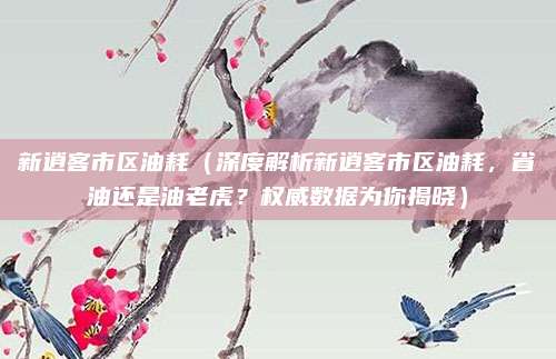 新逍客市区油耗（深度解析新逍客市区油耗，省油还是油老虎？权威数据为你揭晓）