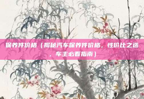 保养件价格（揭秘汽车保养件价格，性价比之选，车主必看指南）