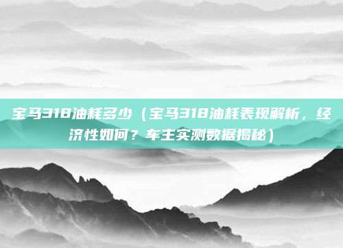 宝马318油耗多少（宝马318油耗表现解析，经济性如何？车主实测数据揭秘）