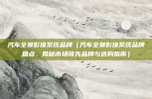 汽车全景影像系统品牌（汽车全景影像系统品牌盘点，揭秘市场领先品牌与选购指南）